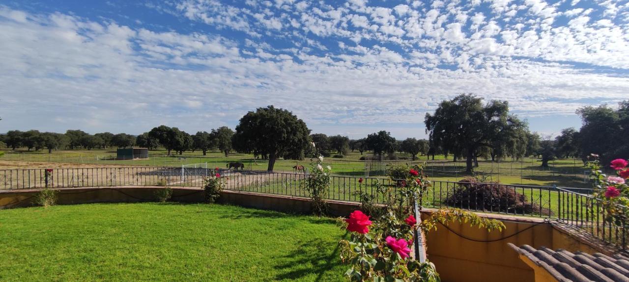 Hotel El Toril Glamping Experience Parrillas Exterior foto